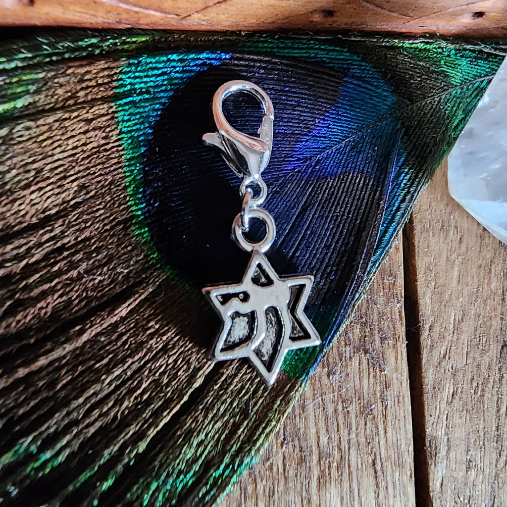 5/$25 Chai Symbol Star Of David Charm For Bracelet Bag Clip Zipper Jewish Gift